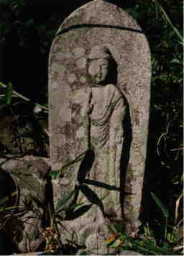 ����ɔ@���Ε�