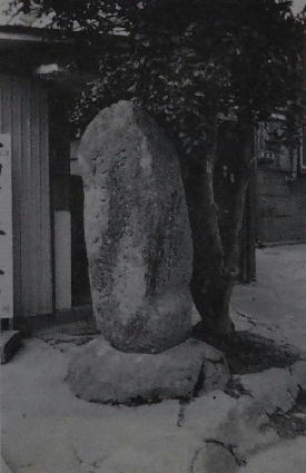 �Ǖ�����